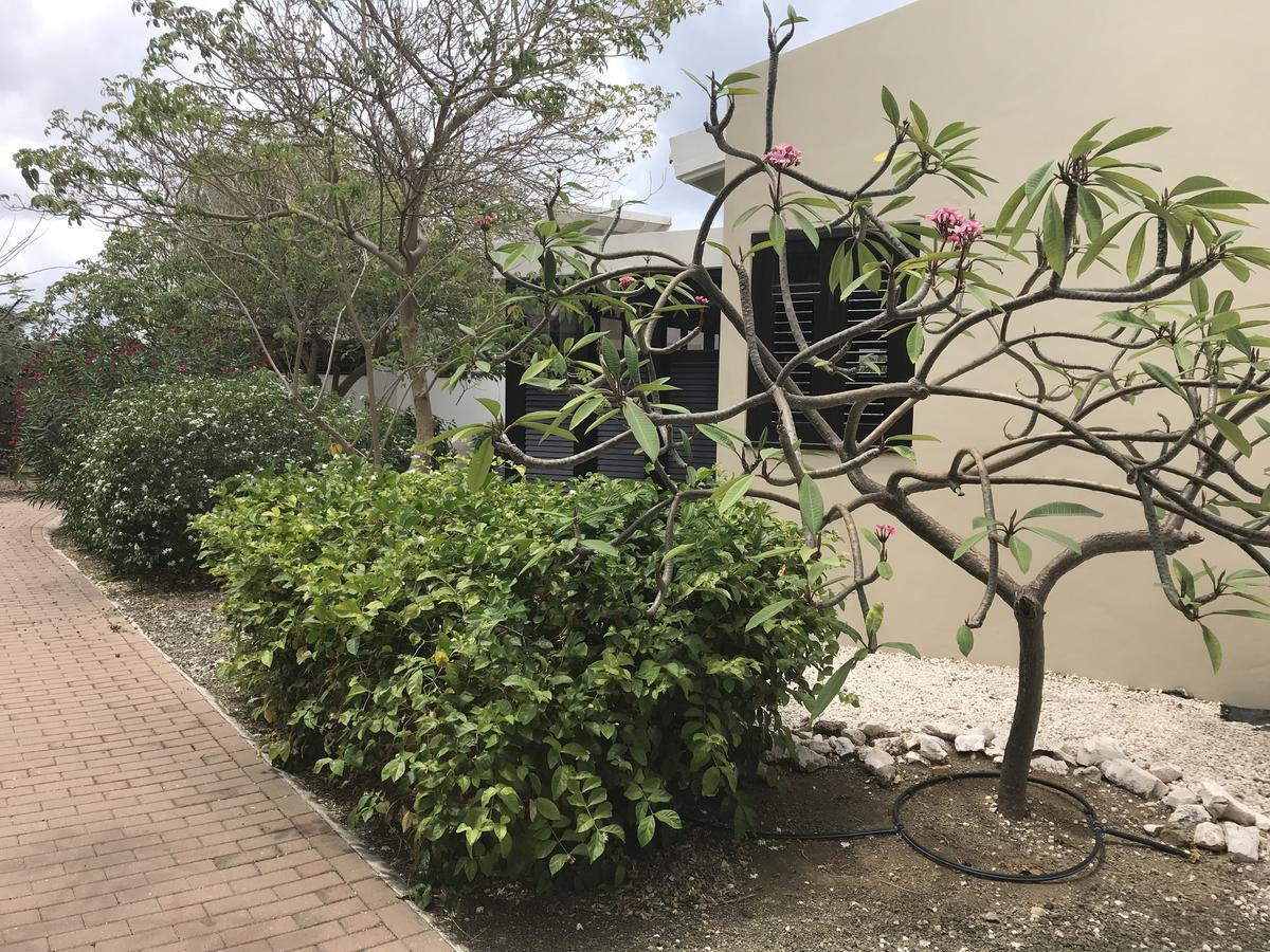 Blue Bay Resort Garden Dorp Dorp Sint Michiel 外观 照片